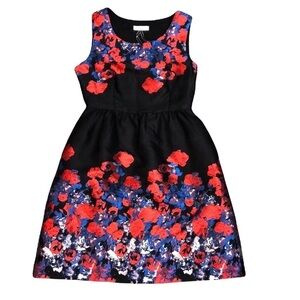 Frock Shop Black Blue Red Brushstroke Floral Fit and Flare Dress Size Small